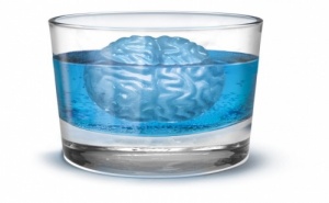 Форма за Лед – „Мозък“