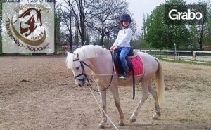 30-Минутен Урок по Конна Езда с Треньор - за Начинаещи или Напреднали, с Опция на Закрито