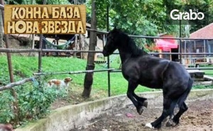 2 часа забавление за деца с въжена градина, батут и спускане с въжен тролей