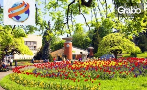 8 Март в Spa Курорта Върнячка Баня и Кралево! Нощувка със Закуска и Празнична Вечеря, Плюс Транспорт