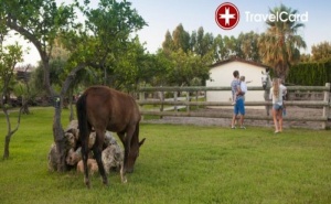 5* All Inclusive Ранни записвания в хотел Club Turan Prince World, Анталия