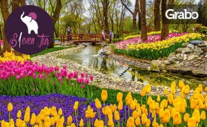 До Истанбул за Фестивала на Лалето! 2 Нощувки със Закуски в Хотел 5*, Плюс Транспорт от <em>София</em> и Посещение на Одрин