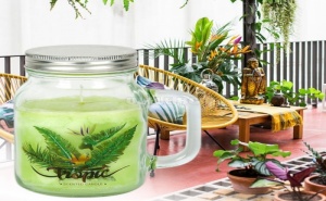 Ароматна Декоративна Свещ в Буркан Tropic Mohito