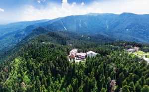 Лято в Паничище! Нощувка на човек със Закуска и Вечеря + Релакс Зона в Хотел Планински Езера