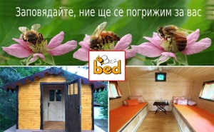 Посещение на Пчелна Къща Bee Bed – Инхалация с Прополис, Кошерен Въздух или Почивка в Пчелна Стая по Избор