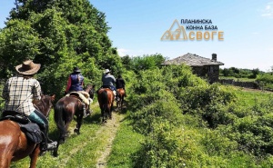 2-Часов Планински Конен Преход от Планинска Конна База Своге