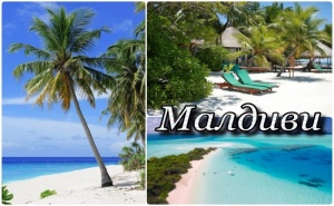 Почивка в Arena Beach Hotel 4*, Маафуши, Малдиви. Самолетен Билет от <em>София</em> + Трансфер + 7 Нощувки на човек със Закуски!
