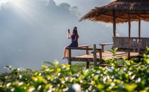 Самолетна Екскурзия до Шри Ланка - Завладяващ Райски Остров! Двупосочен Билет + 12 Нощувки на човек със Закуски + 7 Екскурзии от Премио Травел